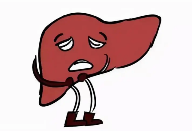 脾胃不通是百病之始！一方打通脾胃 提升功能！没想到感觉这么好！