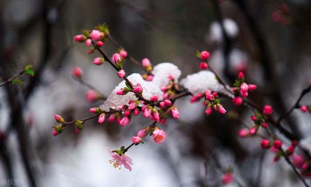 早春钓鱼和冬钓有什么区别？带上这几招，连竿大板鲫，开年就爆护