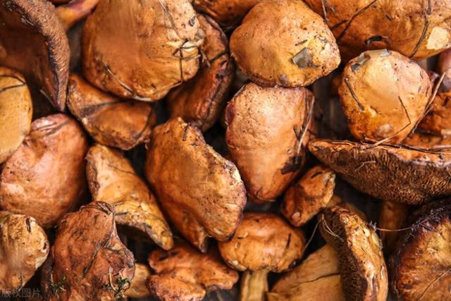 一天接了三个“黄体破裂”的患者，黄体到底是什么？了解一下