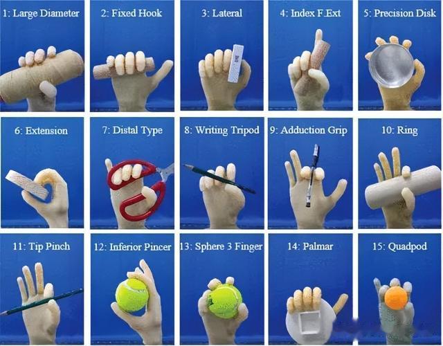 灵巧堪比人手?广东工业大学团队提出新型模块化刚柔耦合仿人手