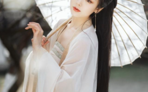 长兄倾慕公主，把我送进宫给她做丫鬟，我被折磨，他却说那是我的福气。那我就让你到她身边做太监！