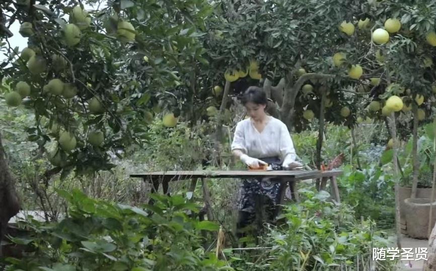 时隔3年多李子柒复出回归的第一条作品,紫漆衣柜寓意子柒已归