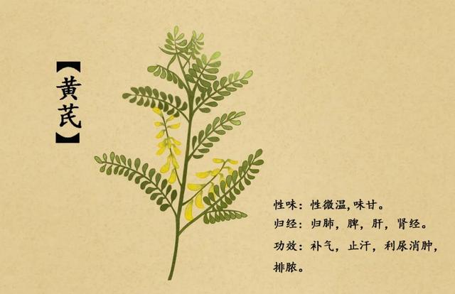 末伏喝碗“黄芪粥”，补虚、壮脾胃，还能减肥防大病！