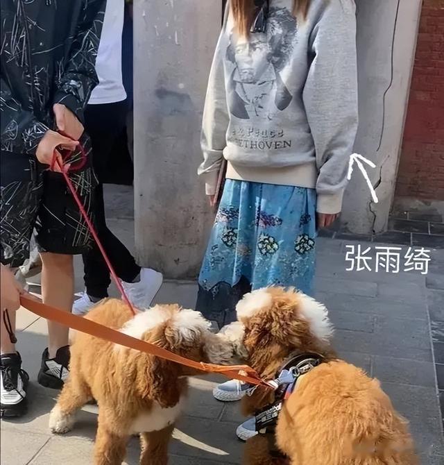 36岁张雨绮街头狂野?大胆牵手帅气小鲜肉恩爱同游并携子女亮相