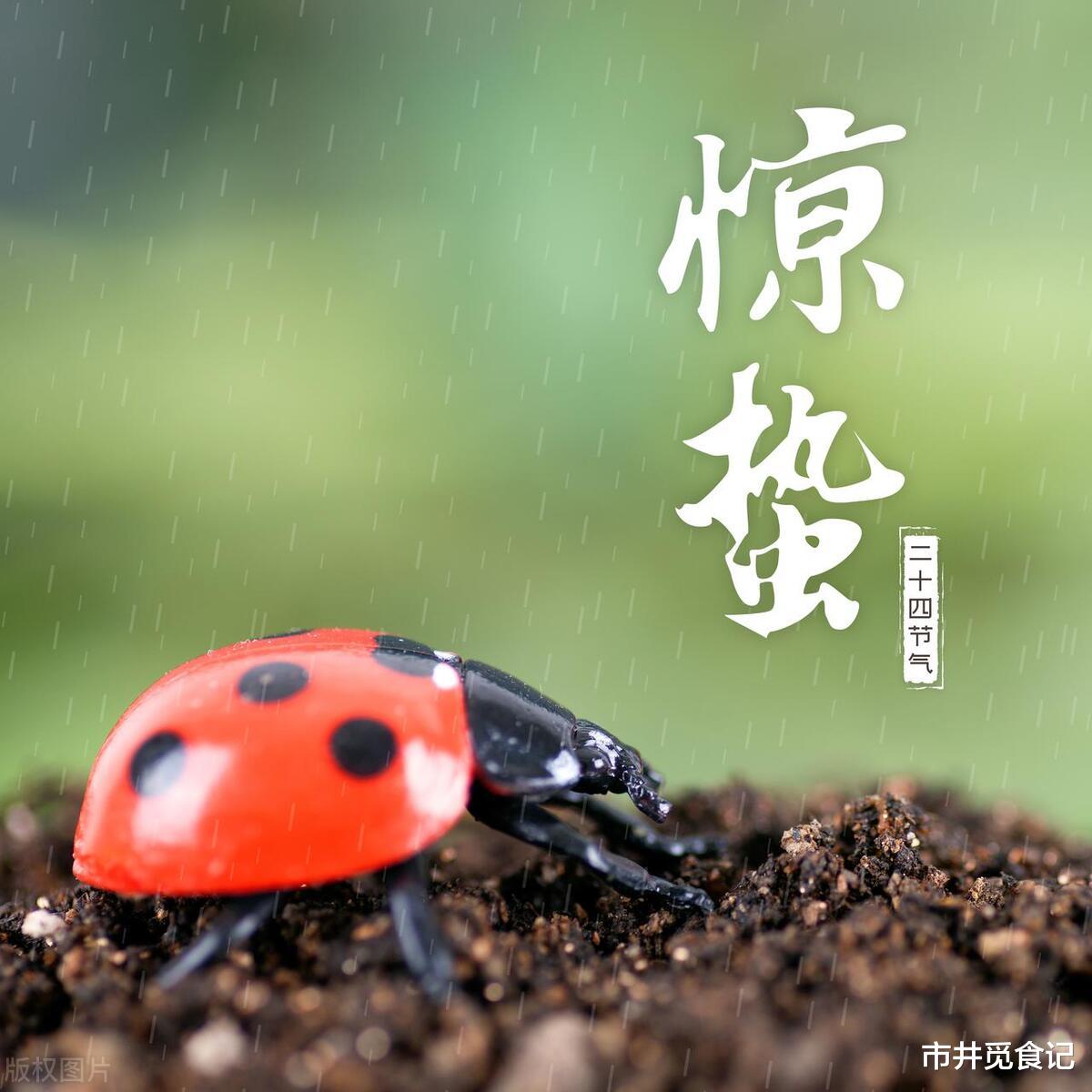 明日惊蛰，按照老传统，别忘吃了1样水果，寓意一年都能走好运