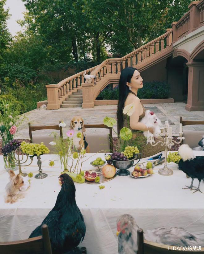 看了43岁霍思燕携10只狗8只鸡拍封面的照片，我才明白“女人微胖”才是极品