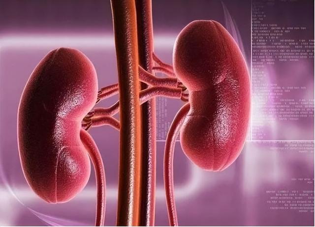 “硼砂猪肉”已泛滥?买猪肉时,牢记3不买,肉贩子都不敢糊弄你