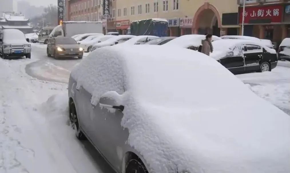 河南一场大暴雪，揭开了新能源汽车的遮羞布，车主：服了这“祖宗”！