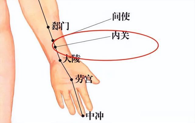 常揉此穴，一辈子远离心梗！没事记得揉一揉