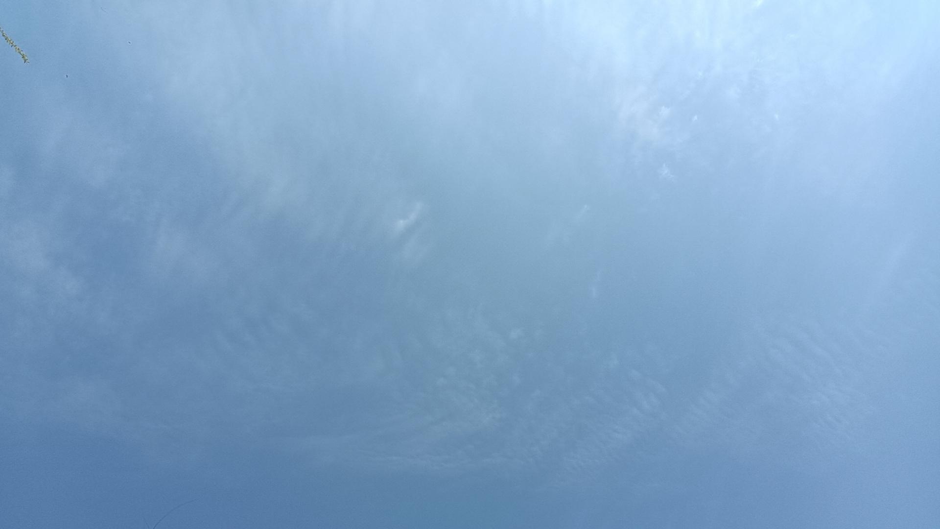全省教师招聘人数减半，考编人数攀升，这带来两个值得关注的疑问