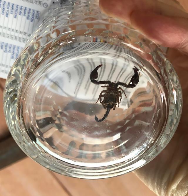 你不知道的21个意大利冷知识