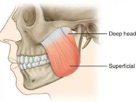 王耀聪医生：瘦脸针注射后多久能见效？哪些情况不适合打瘦脸针？