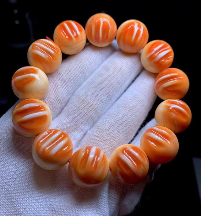 海螺文玩背后的故事，四大名螺竟有这些讲究！