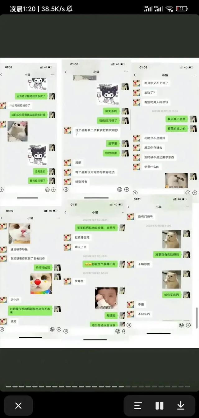 谭竹深夜发文再次回应,对网上舆论逐条澄清,发和胖猫的聊天记录