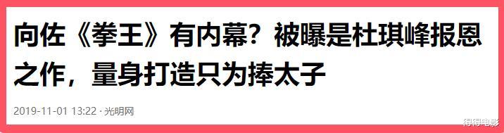 被坑到5年没拍新片，比起徐浩峰，杜琪峰才是向佐的最大受害者