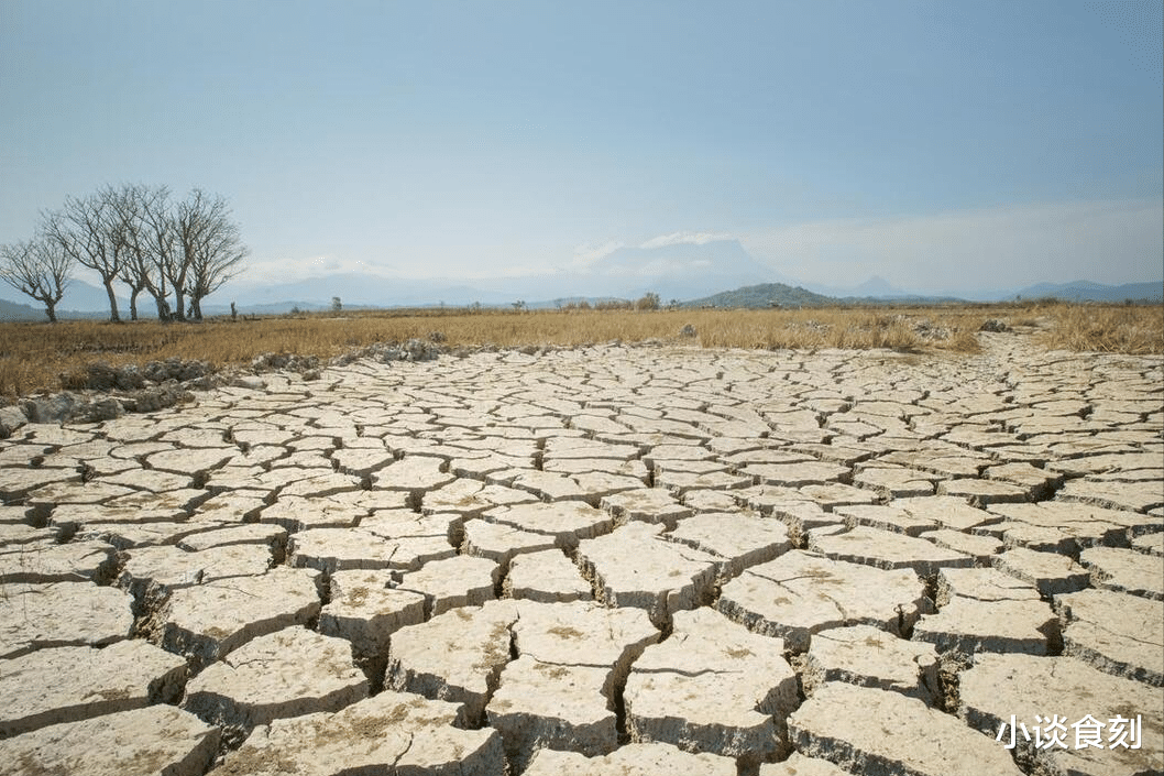 北方多地出现“干旱”,农谚说“五月旱不算旱”,为啥这么说?