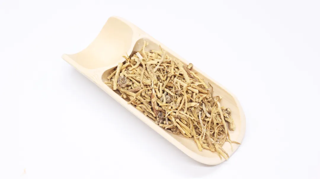 它被誉为“植物活化石”，清肝退热、燥湿泻火，常用于这3种疾病