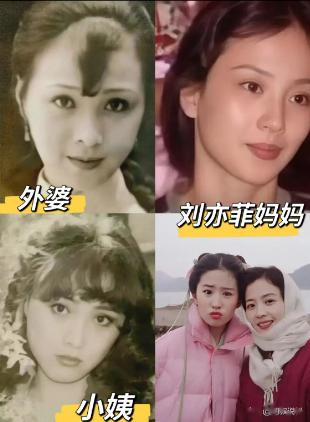 刘亦菲母亲刘晓莉：长得比女儿还漂亮，两婚两离，65岁单身也幸福