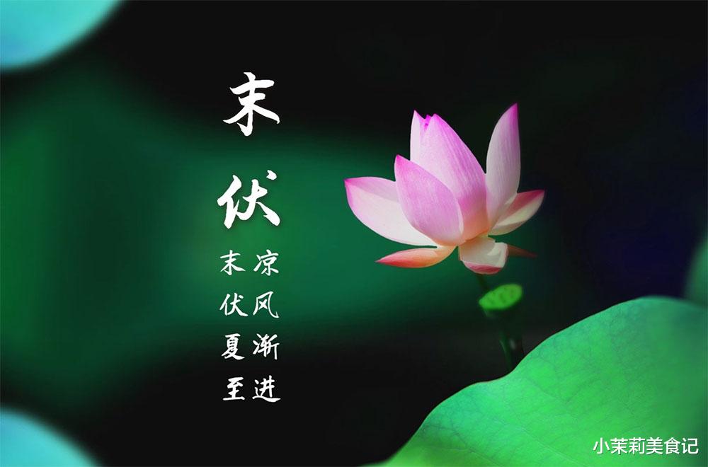 8月14日进末伏，叮嘱家人：多吃2肉3菜，少吃2果，合理忌嘴，养好身体为秋季蓄能