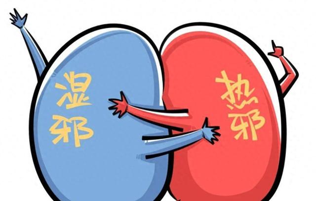 湿热难除!脾胃湿热,肝胆湿热,下焦湿热什么区别?中医一文讲清
