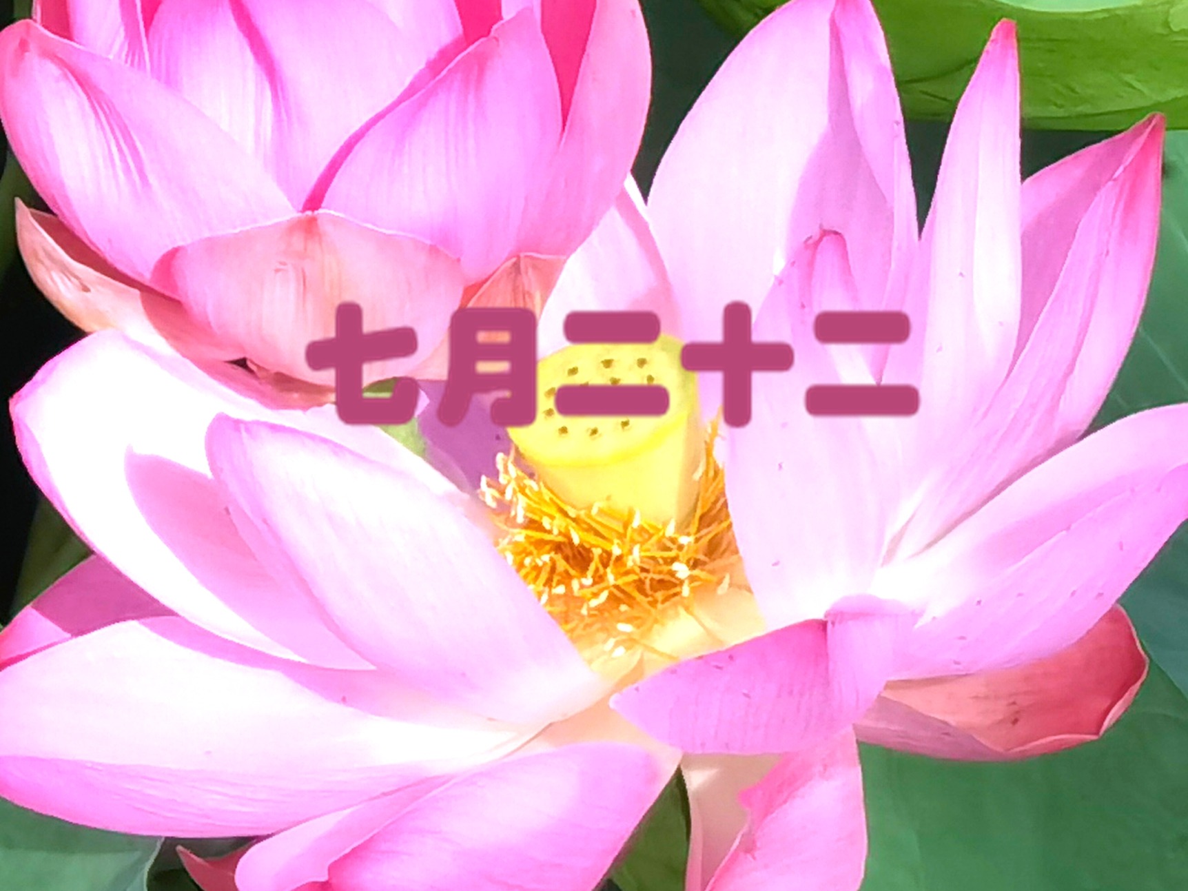 明日“财神节”,别忘了“吃1样、做1事”财源滚滚寓意好,老传统别丢!