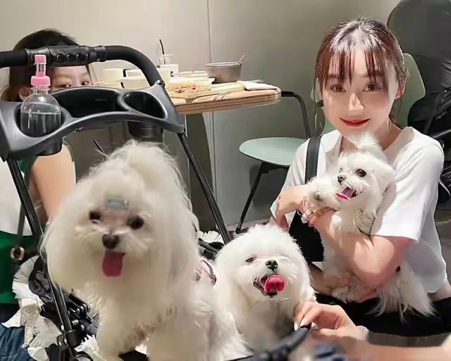 袁姗姗武汉过早被偶遇，大热天穿毛线背心露肚脐，鼻子怪异疑整容