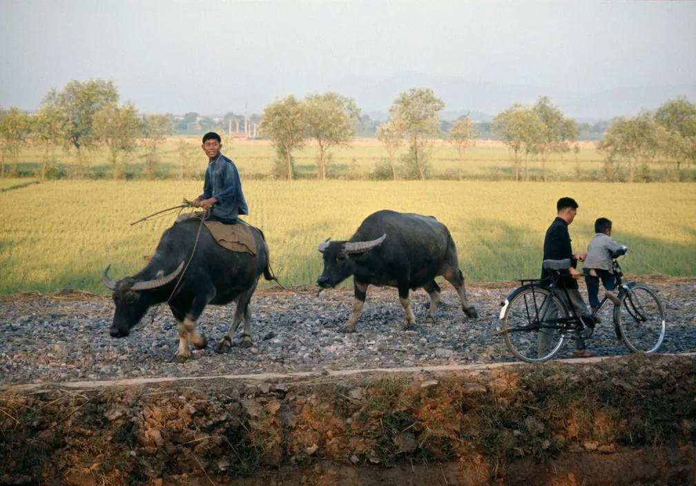 不要被电视剧骗了！70-80年代的中国，其实是这个样子