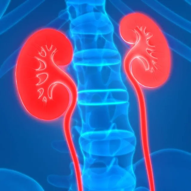 阻止肾功能恶化的2个方法，最有效的防“毒”措施，全都告诉你