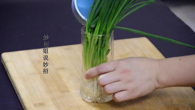 才知道,原来保存小葱这么简单,放1年和新鲜的一样,方法太棒了