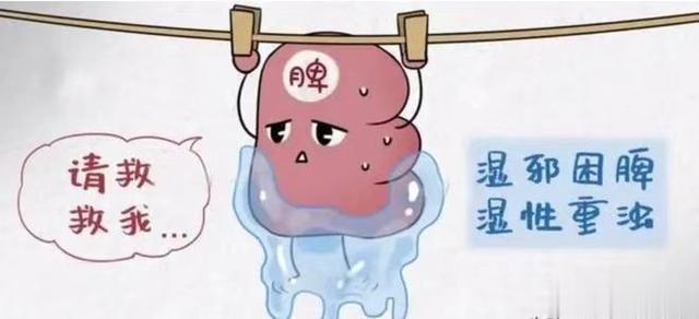 肝堵屁多，肺堵痰多，脾堵湿多，三个中成药，打通全身淤堵！