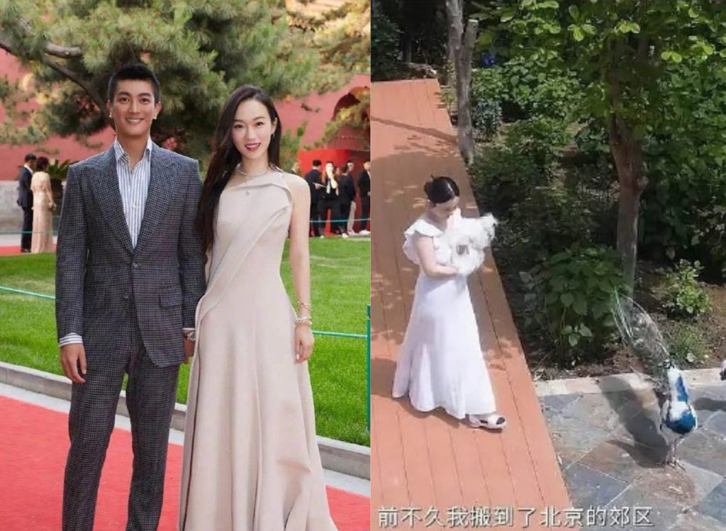 明星夫妻新家大到养孔雀 豪华如宫殿挨批「别炫富,会崩」