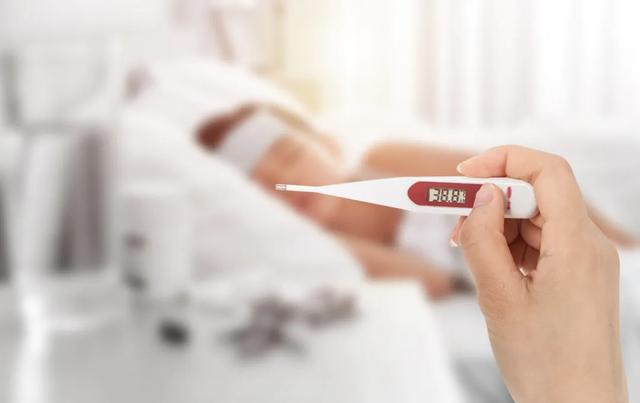 三伏吃姜，医生跑光！学一学夏季的用姜诀窍，让你小毛病退退退！