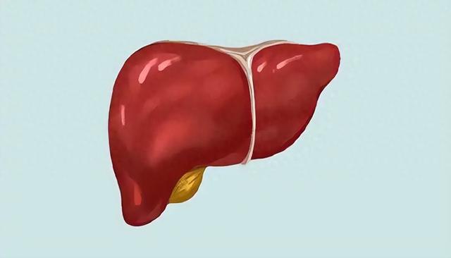 肝不好不能吃糯米？医生告诫：不想加速肝衰竭，4样食物谨慎食用
