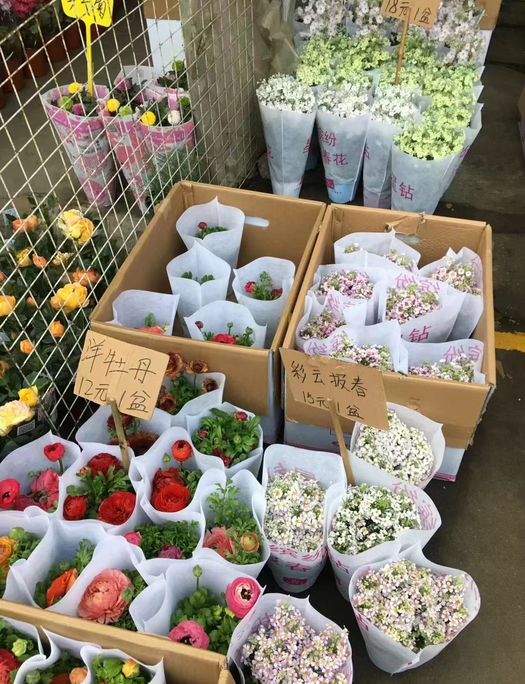 除夕夜不看春晚不吃饺子，广东人到底在干什么？把北方人看沉默了