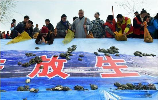 有人放生几千斤黄辣丁，钓友们钓出黑坑的感觉，但却引发了争议