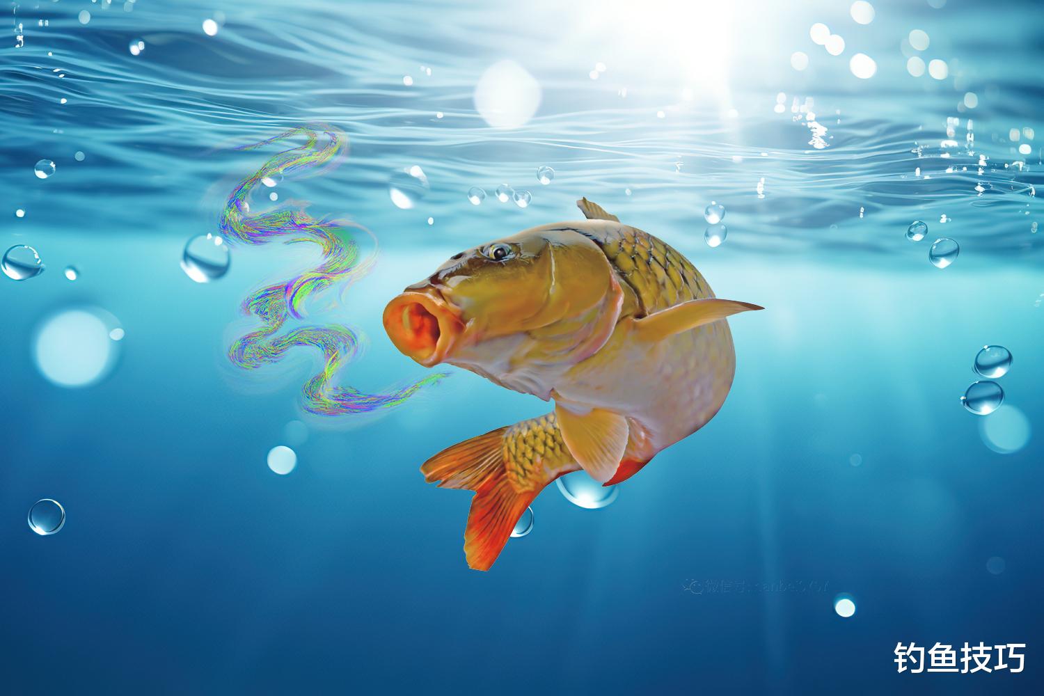 鱼饵味型正确的4个表现，鱼饵味型太重要了