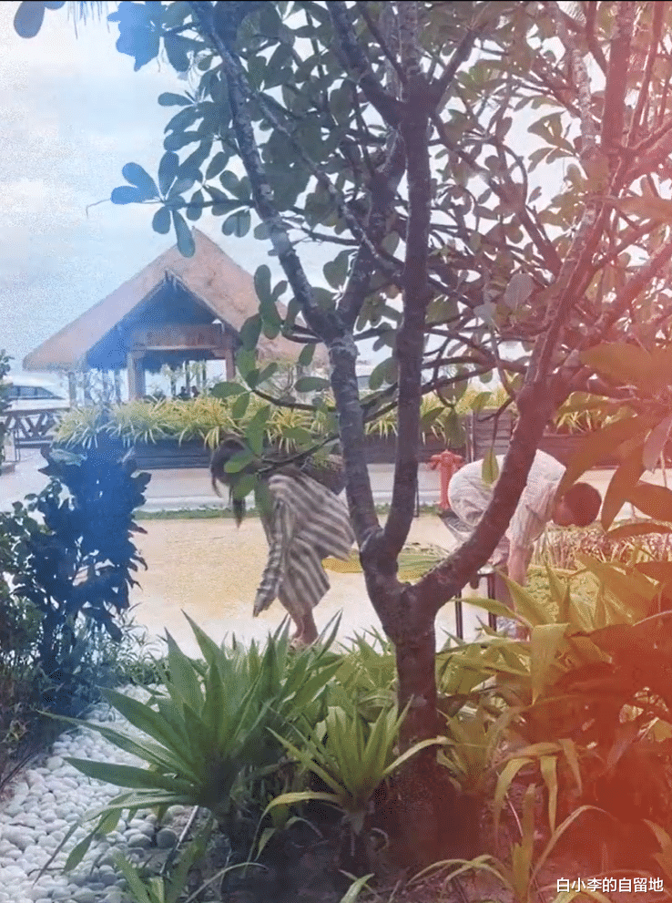 文咏珊携富豪老公出游，穿3.4万预售奢牌真豪横，夫妻相处超甜蜜