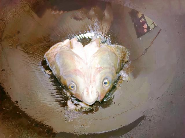 立秋将至,建议大家别心疼钱,多吃4种肉,补充营养顺利入秋