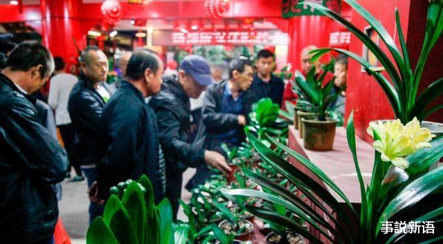 曾风靡全国的“骗局”,被捧上神坛,如今白菜价没人要