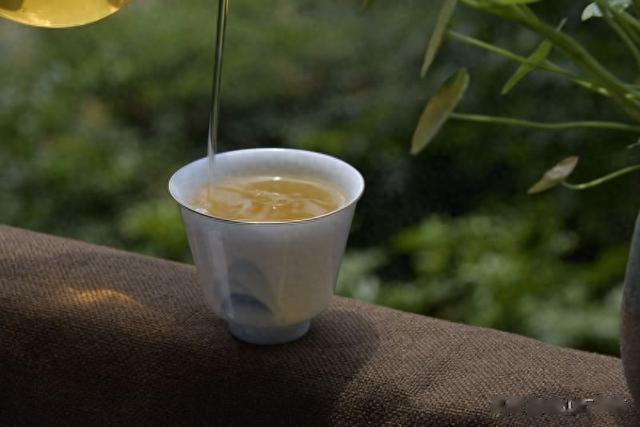 品大厂入门生茶,看品质底线在哪里?大益2021蜜香评测