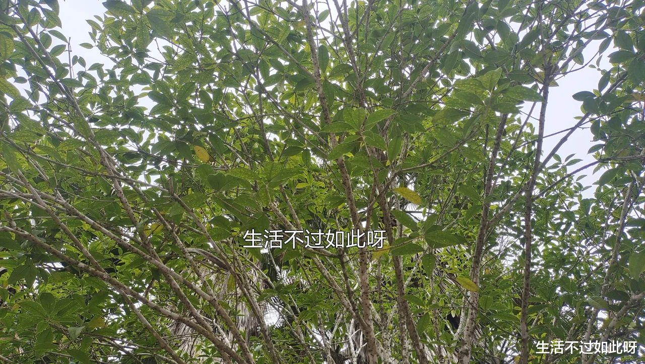 年轻人必读：人生90%的财富都是40岁以后才赚到的，抓紧时间学会
