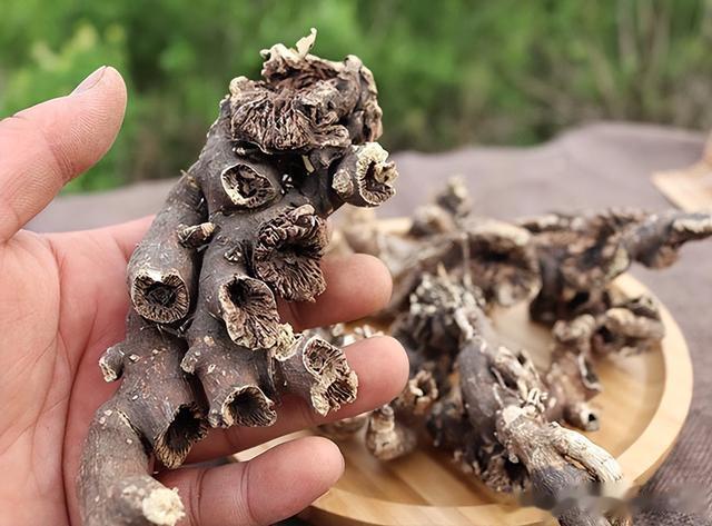 一张专门治疗皮肤病的千古方，清热解毒、疏风散邪、扶正、化瘀