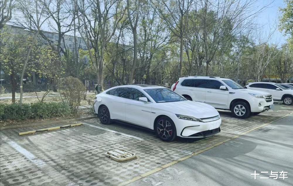 现在第一批吃螃蟹的人怎么样了？绿牌车主说出实情：打脸来的太快