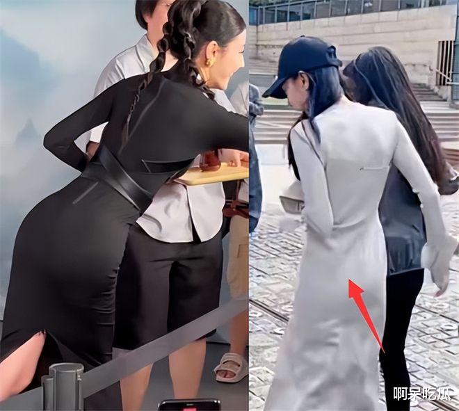 明星造假太猖狂,学历、身材、脸蛋、年龄,没一样是真的!