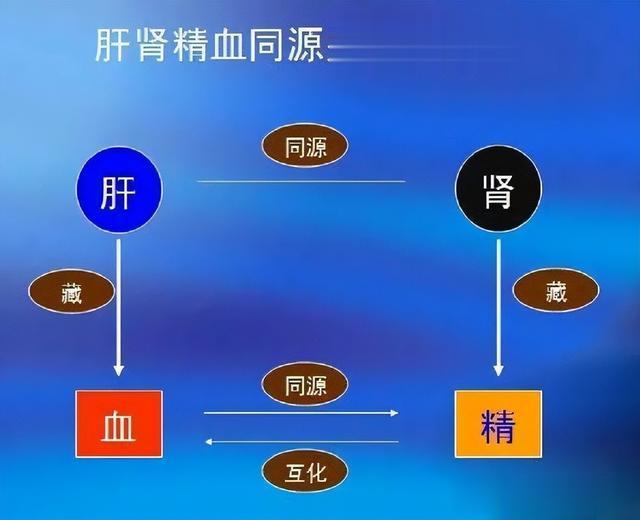 肝肾亏虚，腰酸无力，一个丸子2味药，阴阳调和，强筋骨，黑白发