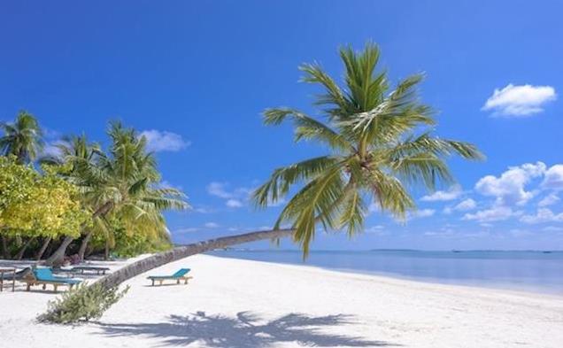 说说美国的量子计算芯片Willow,美国给中国创造了神话