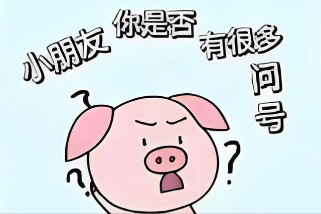 315过后我发现马云是对的!