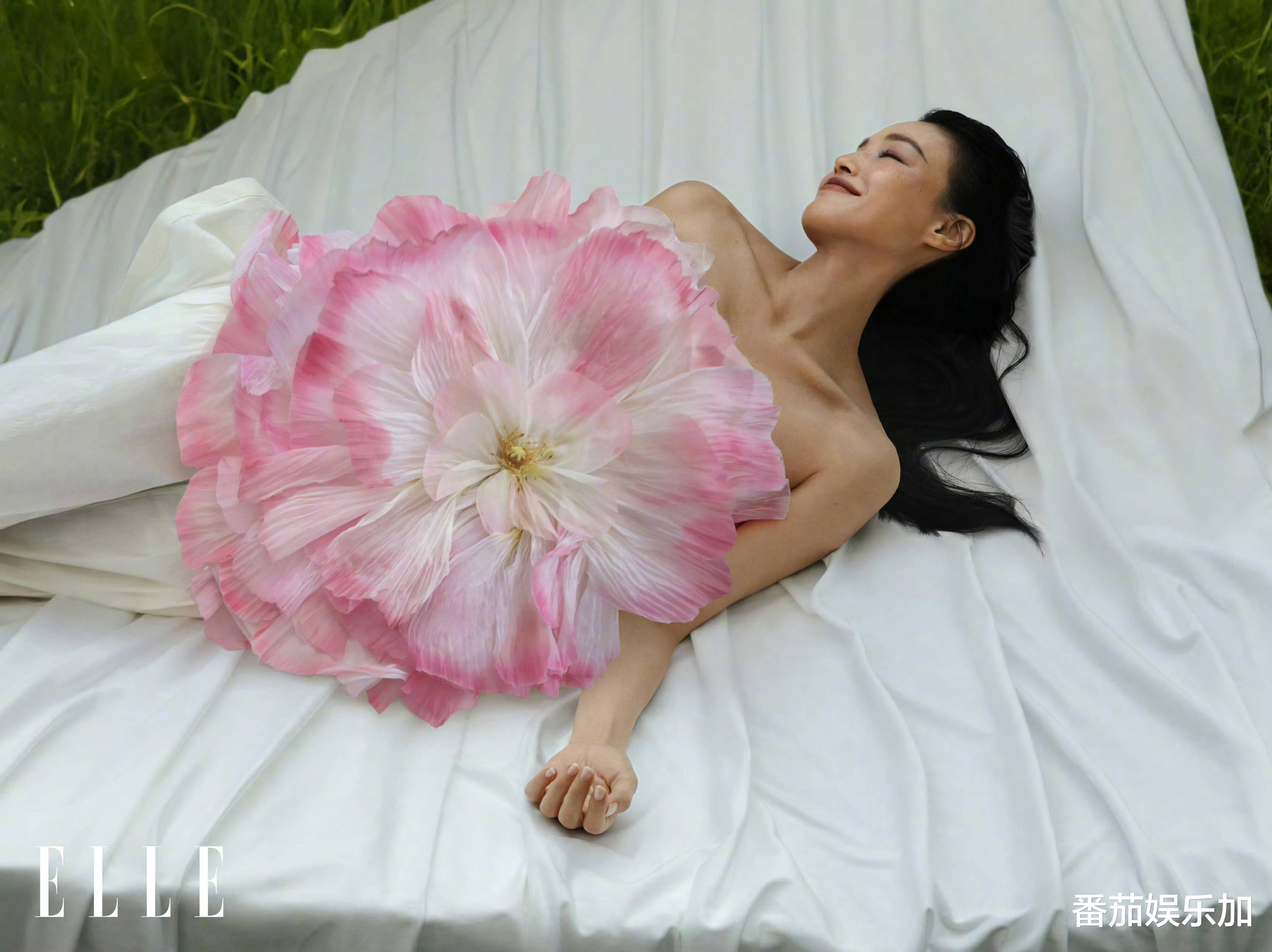 知名艺人舒淇心酸发声:一天拉八次,躺床上不想起来,评论区沦陷