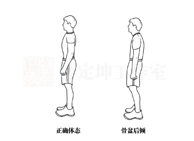 医林正骨丨肚子凸？屁股塌？5个动作，摆正前后倾斜的骨盆！