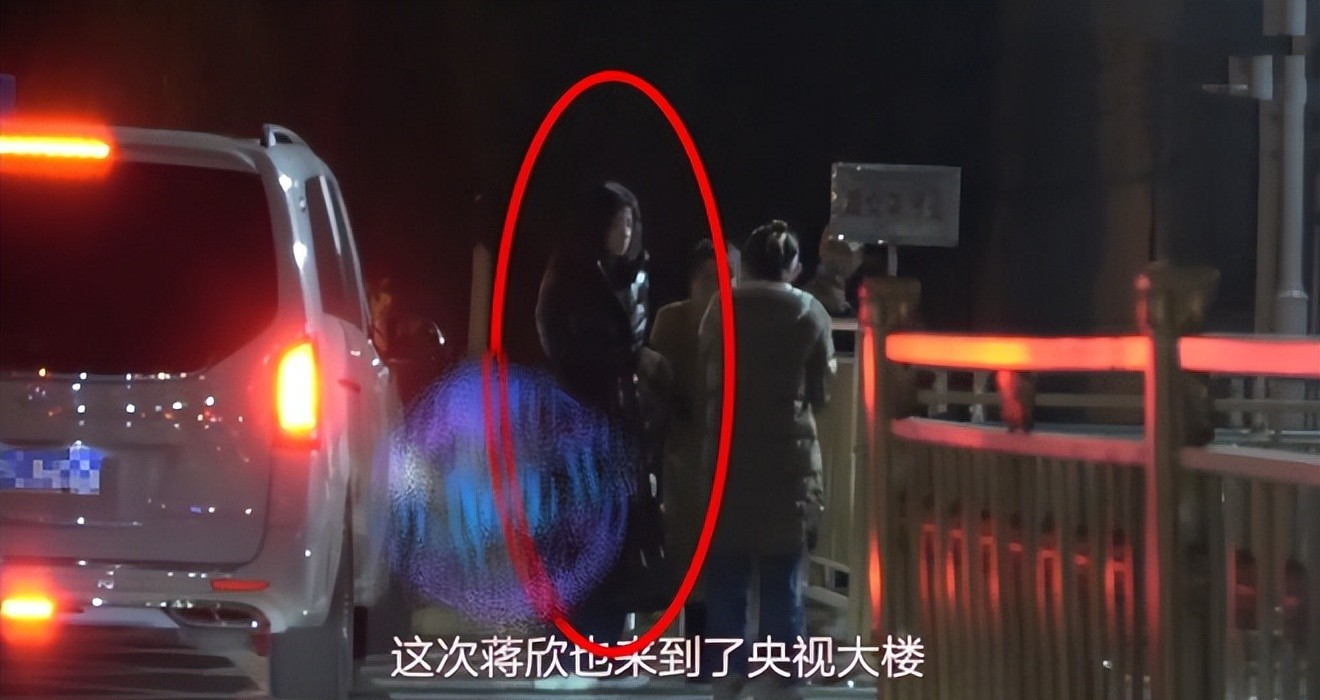 春晚阵容引热议:期待与失望的交响曲